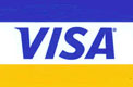 visa logo